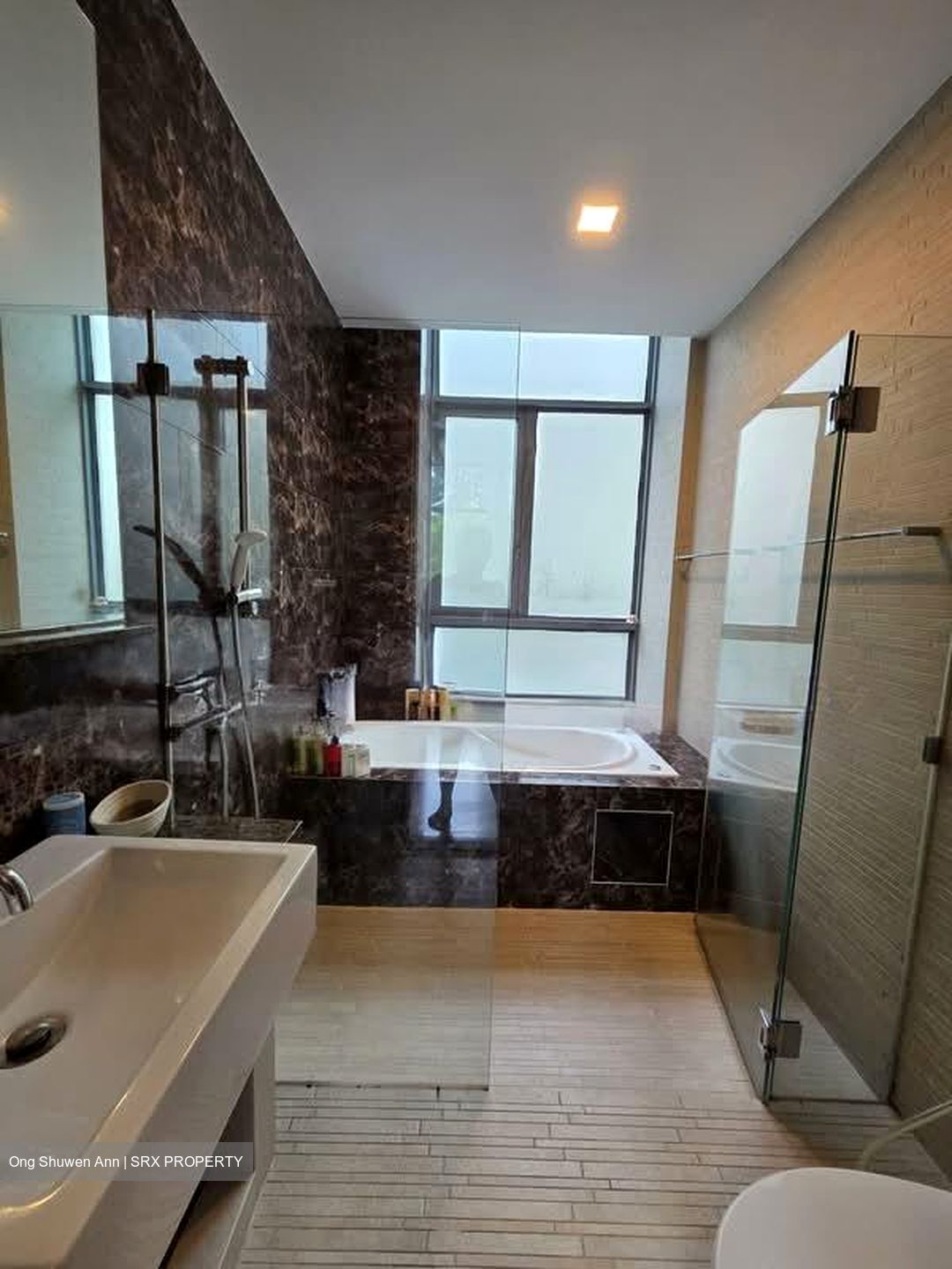 Viz At Holland (D10), Condominium #596515611